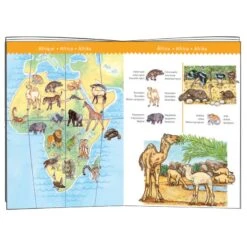Puzzle Djeco 5 Ans Animaux Du Monde 100 Pièces 7 Puzzle Djeco 5 Ans Animaux Du Monde 100 Pièces -Djeco puzzle animaux du monde 100 pieces 2